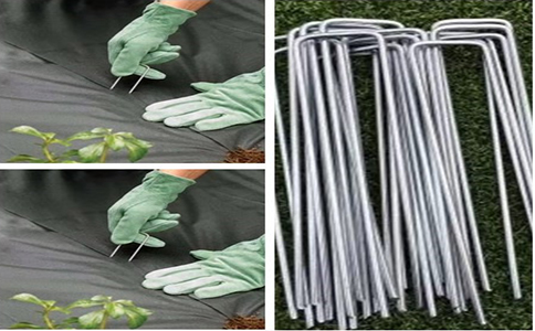 init222222ntu_副本.jpg init222222ntu_副本.jpg