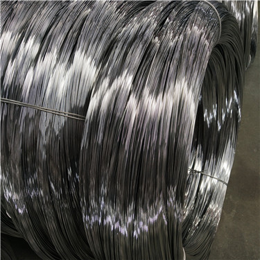 IMG_20180704_095621.jpg IMG_20180704_095621.jpg