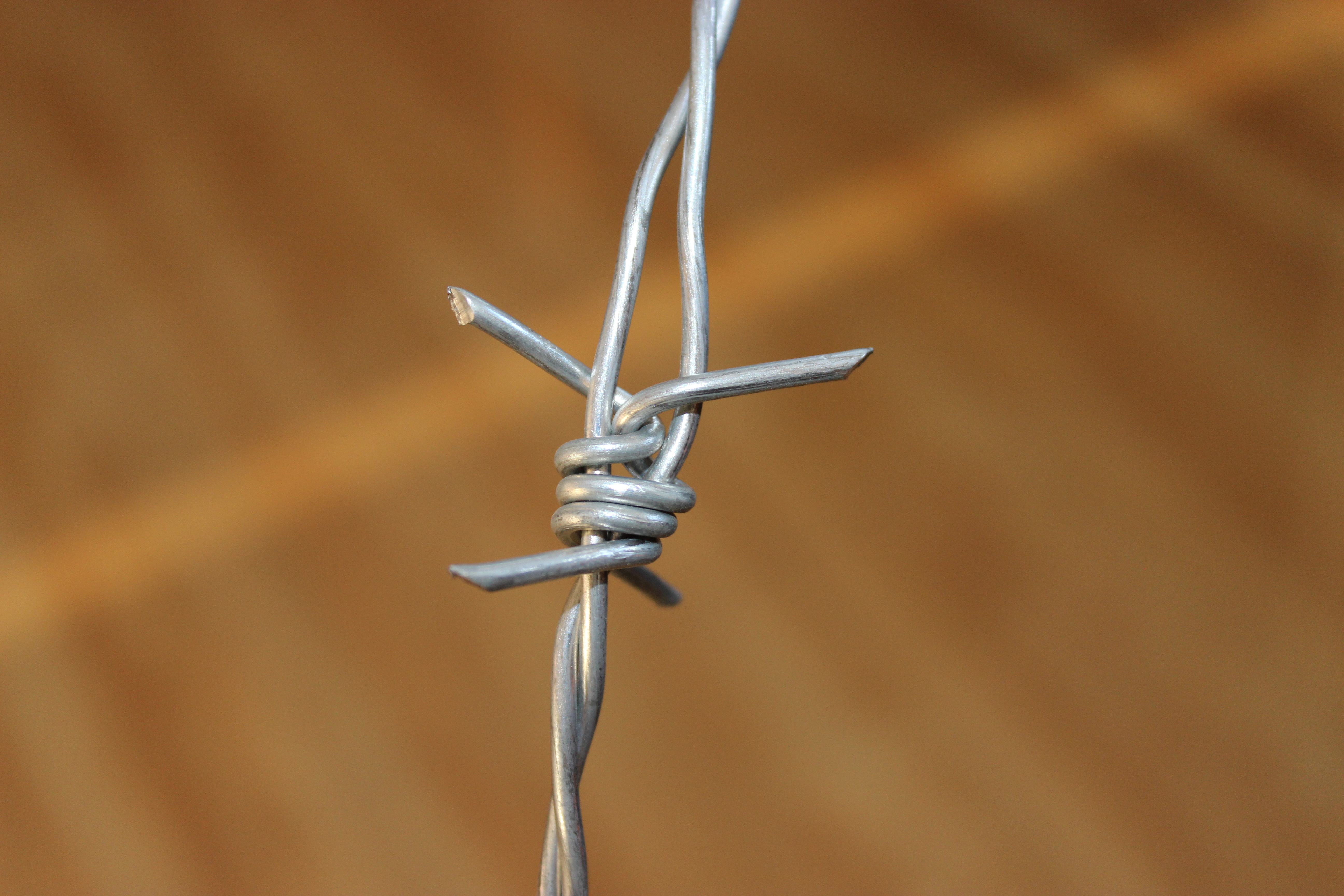 IMG_6091.JPG IMG_6091.JPG